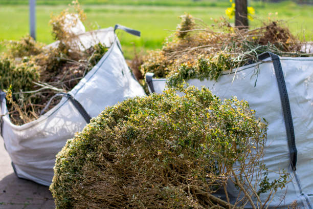 Best Shed Removal  in Velda City, MO